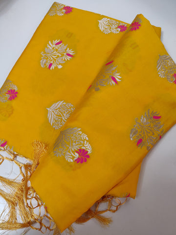 Soft silk benarasi - Satkahon Studio